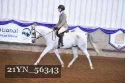 21YN_56343 thumbnail