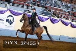 21YN_32455 thumbnail