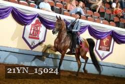 21YN_15024 thumbnail
