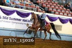 21YN_15026 thumbnail