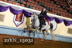 21YN_15031 thumbnail