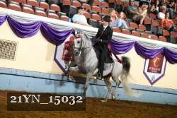 21YN_15032 thumbnail