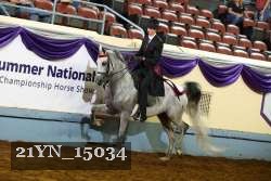 21YN_15034 thumbnail