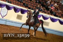 21YN_15039 thumbnail