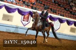 21YN_15040 thumbnail