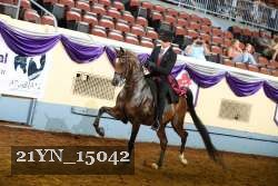 21YN_15042 thumbnail