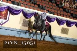 21YN_15051 thumbnail