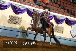 21YN_15056 thumbnail