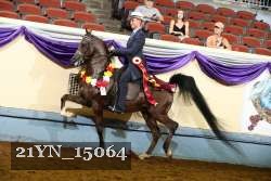 21YN_15064 thumbnail
