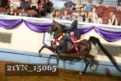 21YN_15065 thumbnail