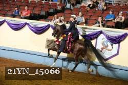 21YN_15066 thumbnail