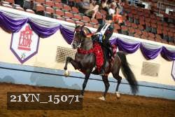 21YN_15071 thumbnail