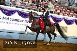 21YN_15072 thumbnail