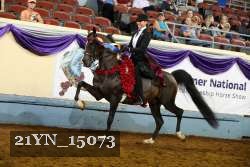 21YN_15073 thumbnail