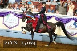 21YN_15074 thumbnail