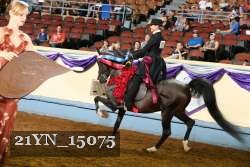 21YN_15075 thumbnail