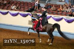 21YN_15076 thumbnail