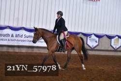 21YN_57978 thumbnail