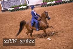 21YN_37622 thumbnail