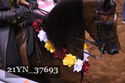21YN_37693 thumbnail