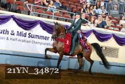 21YN_34872 thumbnail