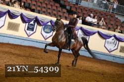 21YN_54309 thumbnail
