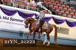 21YN_21222 thumbnail