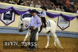 21YN_73855 thumbnail