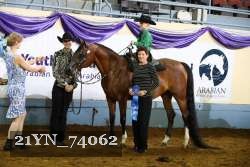 21YN_74062 thumbnail