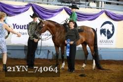 21YN_74064 thumbnail