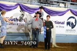21YN_74070 thumbnail