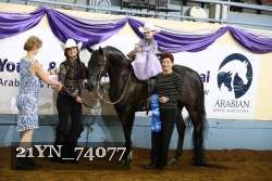 21YN_74077 thumbnail