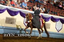21YN_12626 thumbnail