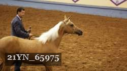 21YN_65975 thumbnail