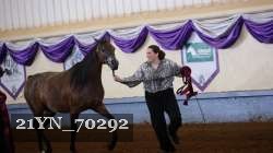21YN_70292 thumbnail