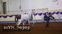 21YN_70305 thumbnail