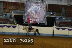 21YN_76165 thumbnail