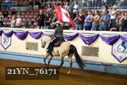 21YN_76171 thumbnail