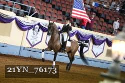 21YN_76173 thumbnail
