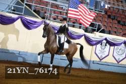 21YN_76174 thumbnail