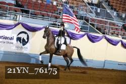 21YN_76175 thumbnail
