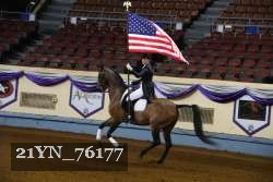 21YN_76177 thumbnail