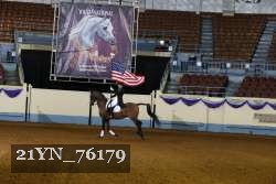 21YN_76179 thumbnail