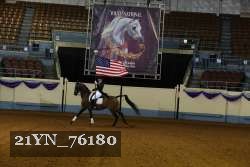 21YN_76180 thumbnail
