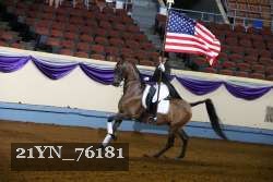 21YN_76181 thumbnail