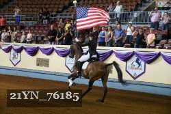 21YN_76185 thumbnail
