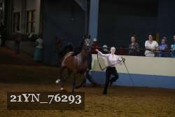 21YN_76293 thumbnail