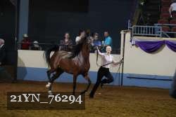 21YN_76294 thumbnail