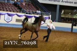 21YN_76298 thumbnail