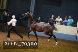 21YN_76300 thumbnail